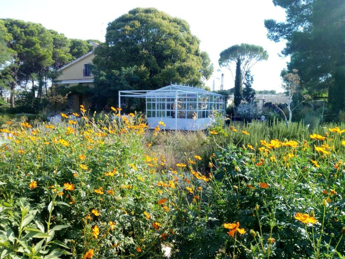 Giardino Della Moscatella Bed & Breakfast Altamura Dış mekan fotoğraf