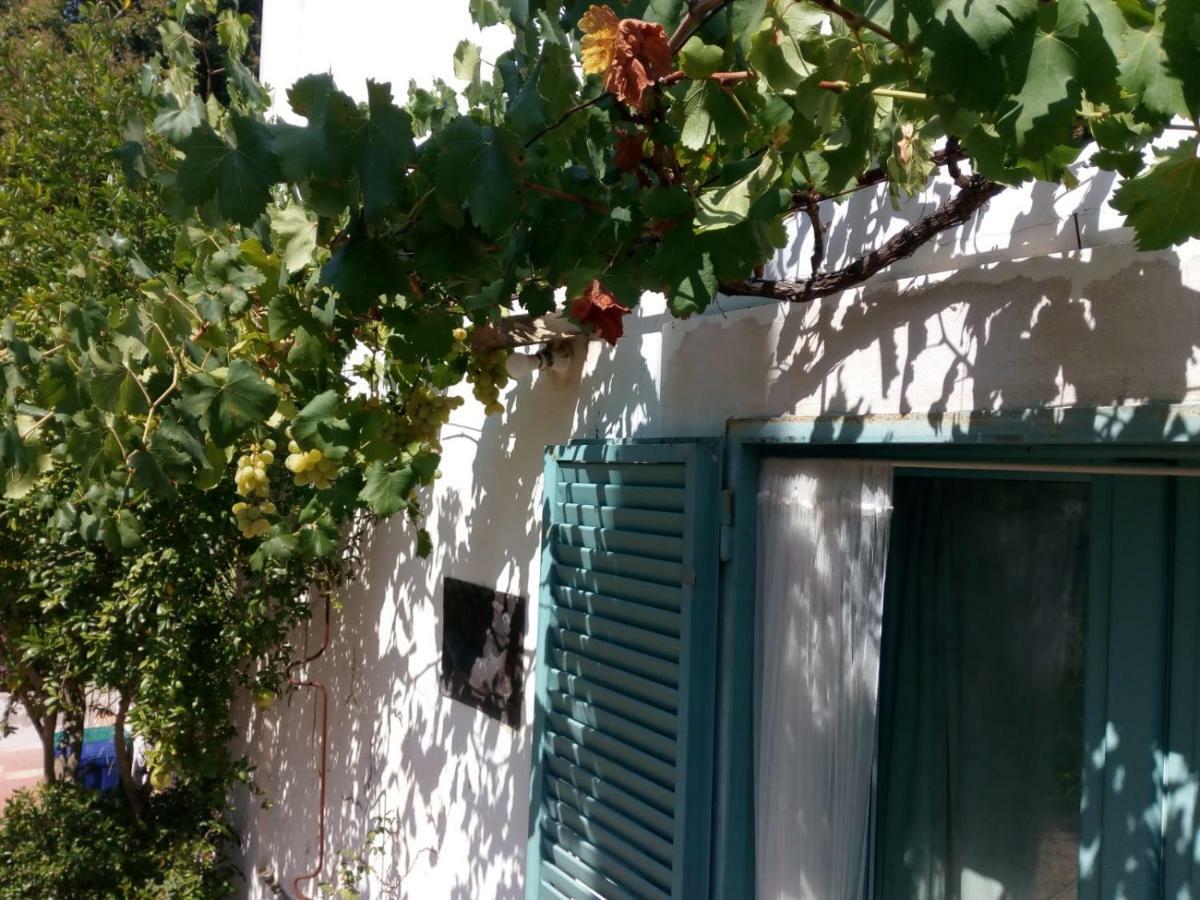 Giardino Della Moscatella Bed & Breakfast Altamura Dış mekan fotoğraf